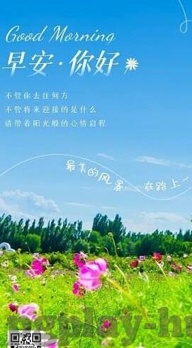 310比分直播足球-310比分直播足球，开启实时观赛与深度互动的精彩之旅
