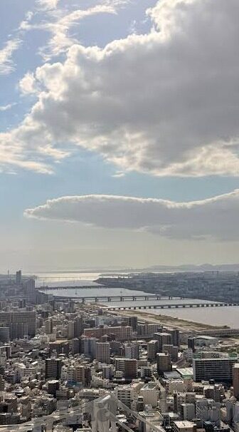 十四胜负足球比分网-探秘十四胜负足球比分网，球迷的智慧导航与赛事分析新平台