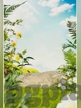足球比分怎么说-足球比分全解析，从入门到精通的终极指南