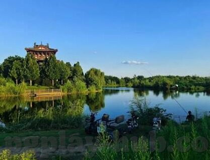 足球手机即时比分-足球迷的福音，足球手机即时比分，让热爱永不落幕
